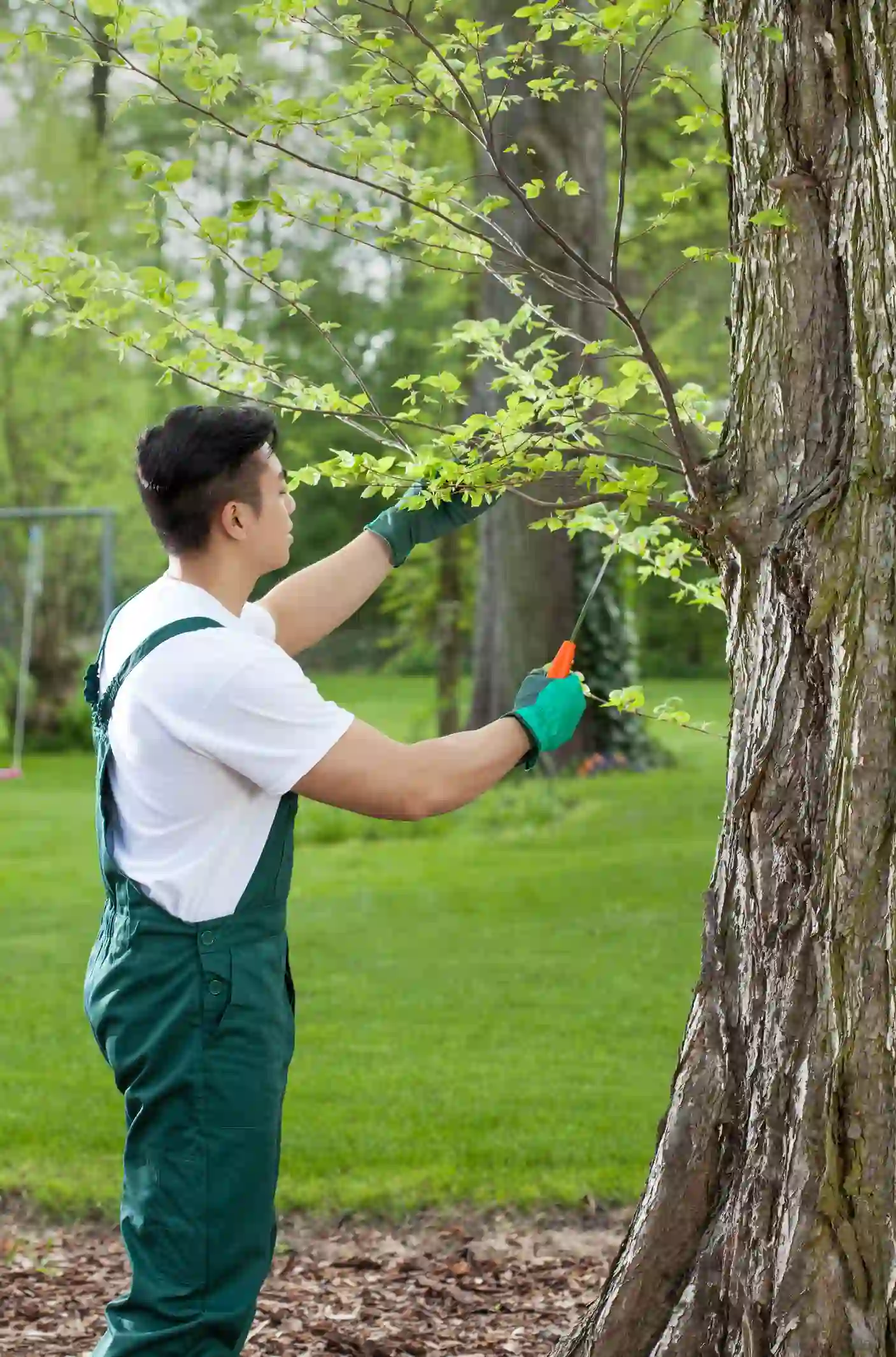 Dependable Tree Service