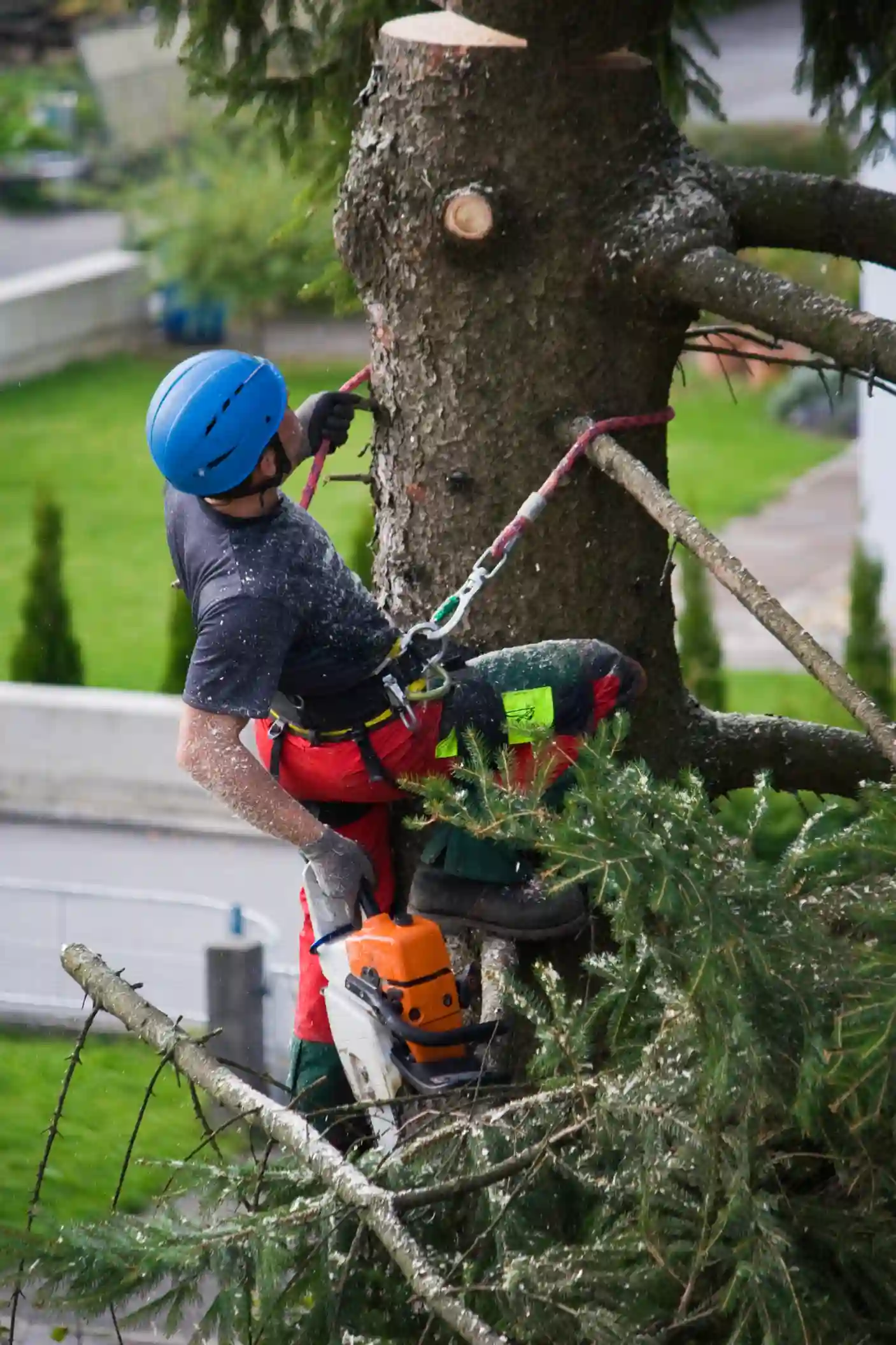Reliable Tree Service